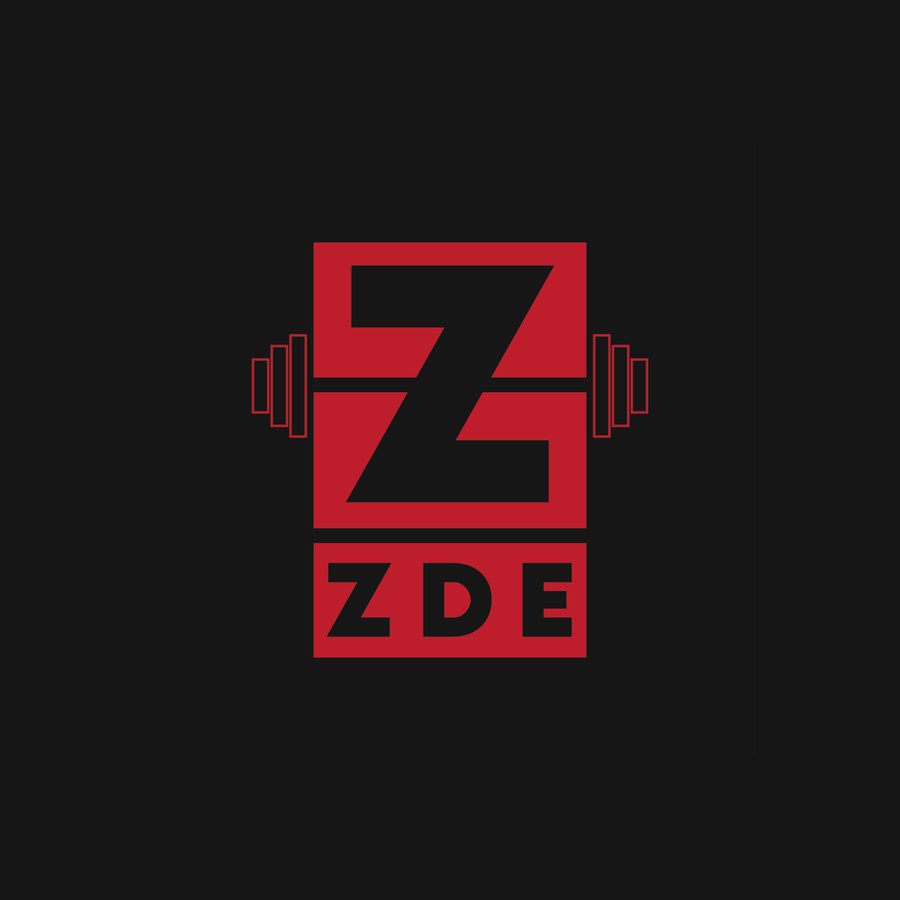 ZDE Fit Body Trainer